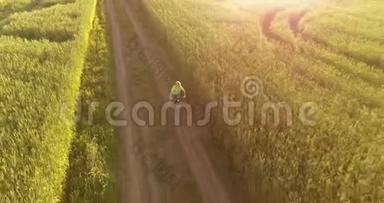鸟瞰年轻男孩，骑着自行车穿过古老的乡村道<strong>路上</strong>的麦田。 <strong>阳光</strong>和光束。